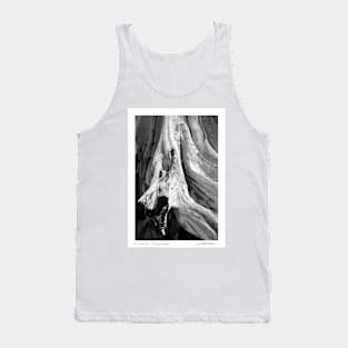 Kanaha Driftwood Tank Top